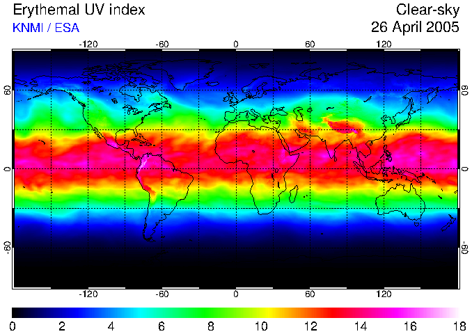  UV 2005 