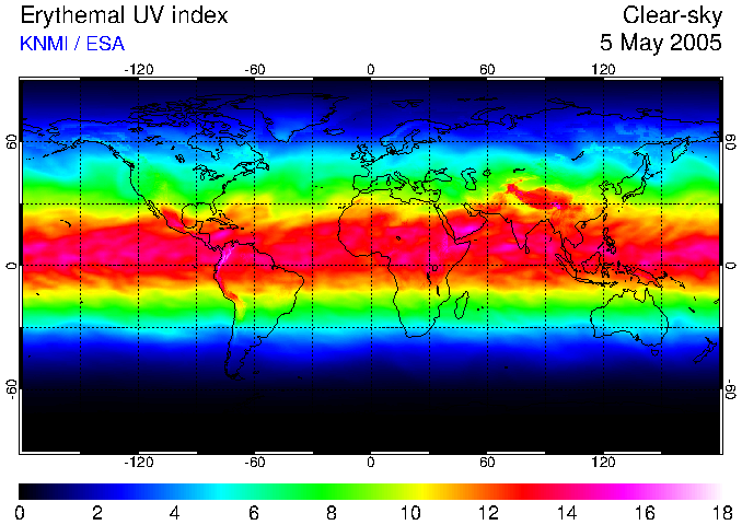  UV 2005 